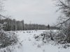 Januar 2021