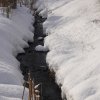 Winter 2010