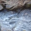 Impressionen